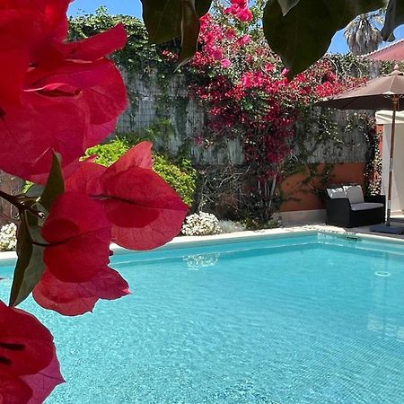 Studio With Private Swimming Pool And Garden カスカイス エクステリア 写真