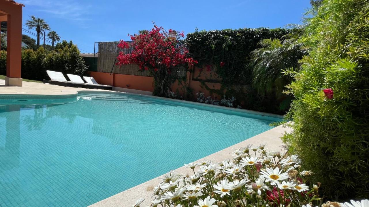 Studio With Private Swimming Pool And Garden カスカイス エクステリア 写真