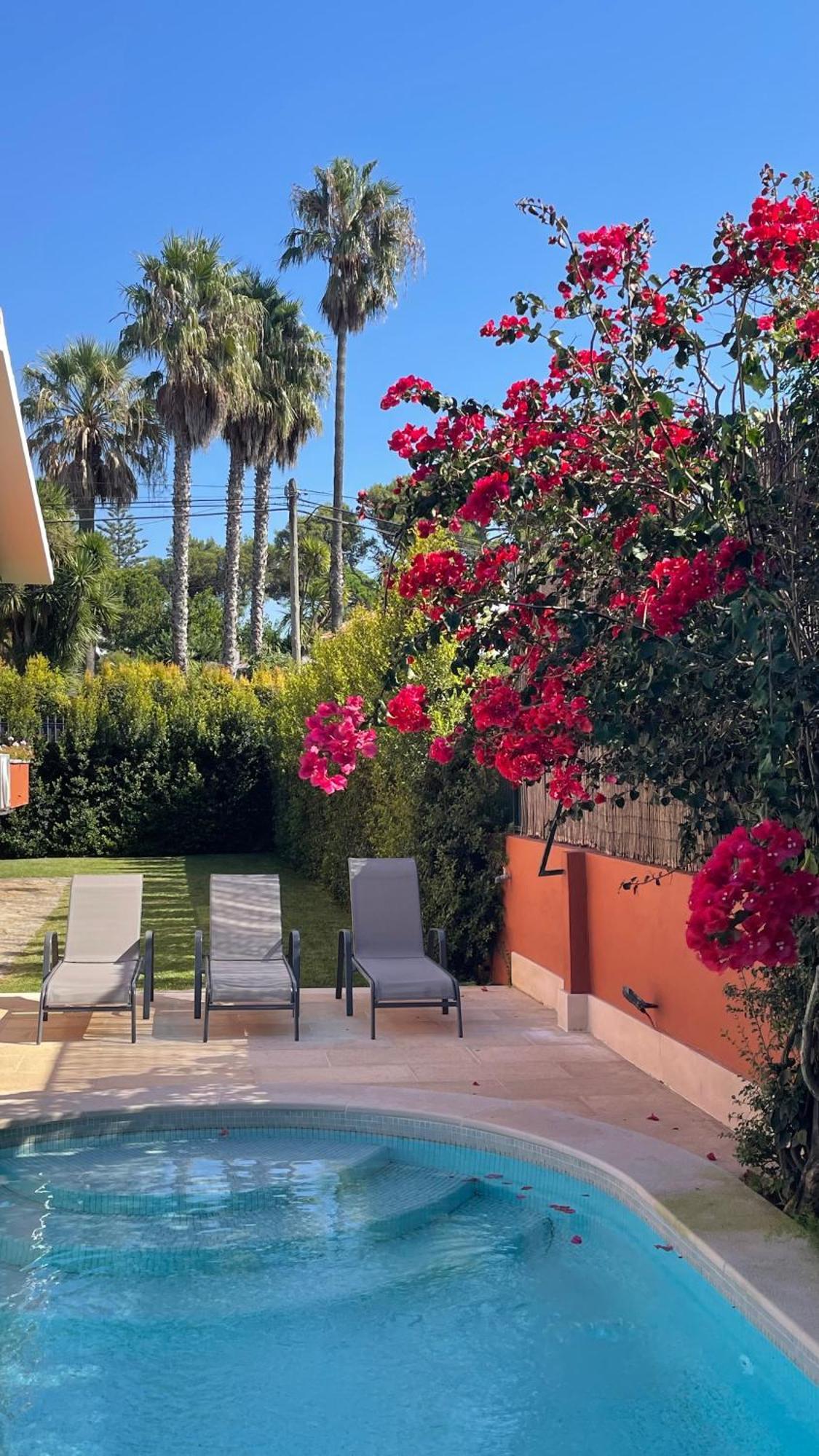 Studio With Private Swimming Pool And Garden カスカイス エクステリア 写真